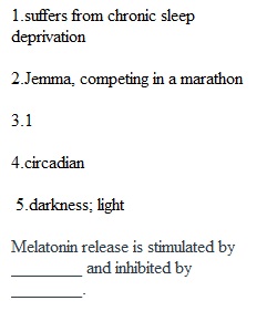 Chapter 4 Quiz